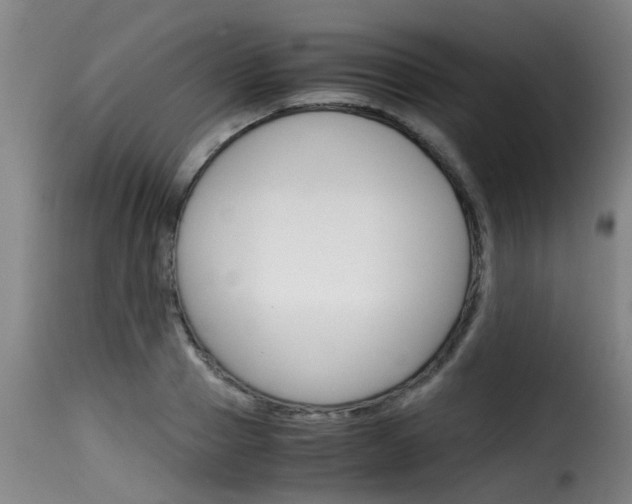 X0000116060937200911201157