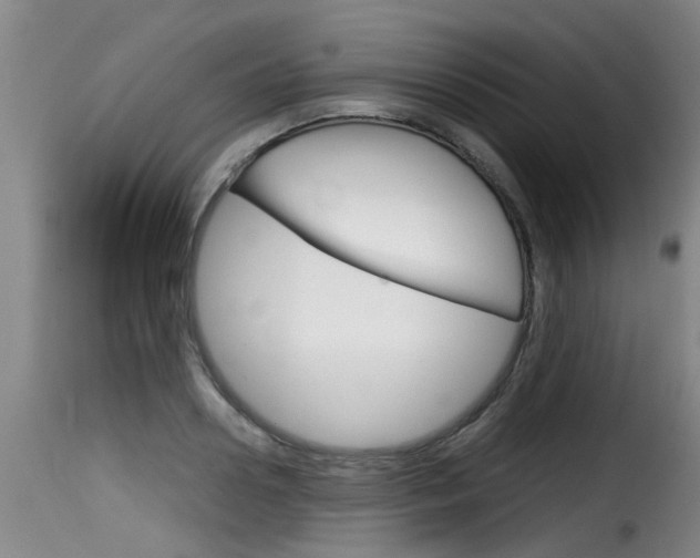 X0000116060938200911201157