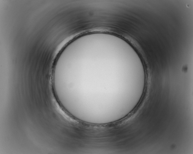 X0000116060941200911201157