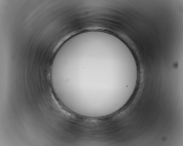 X0000116060945200911201157