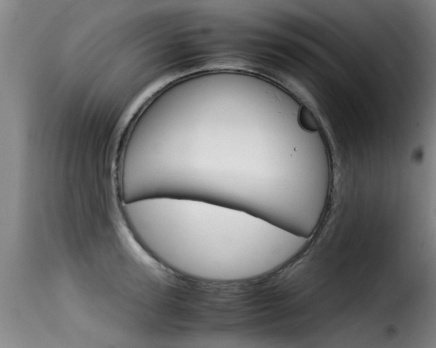 X0000116060947200911201157