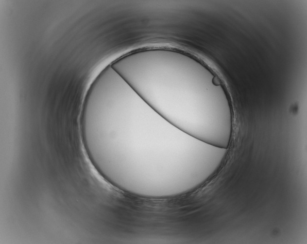 X0000116060951200911201157