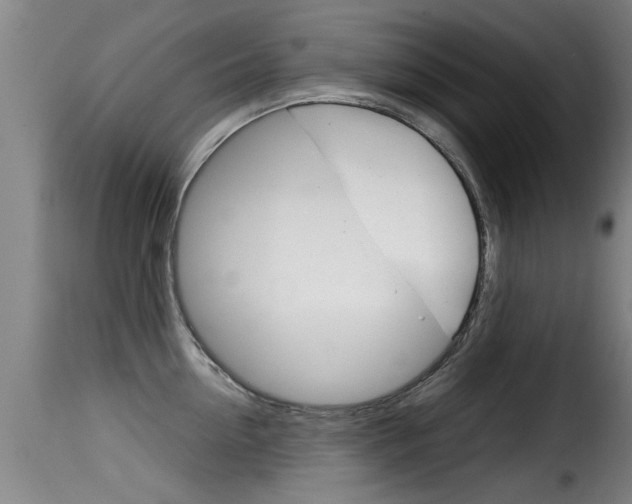 X0000116060954200911201157