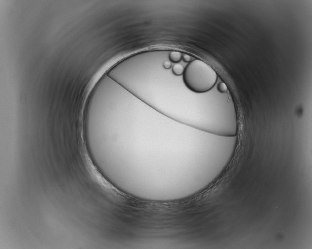X0000116060955200911201157