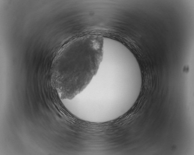 X0000116060964200911201157