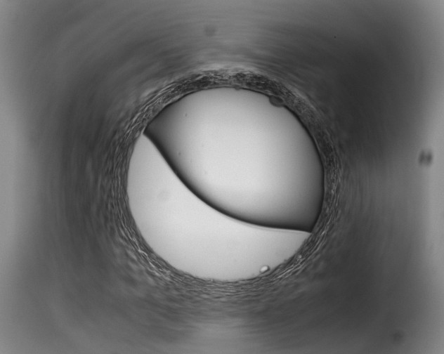 X0000116060965200911201157