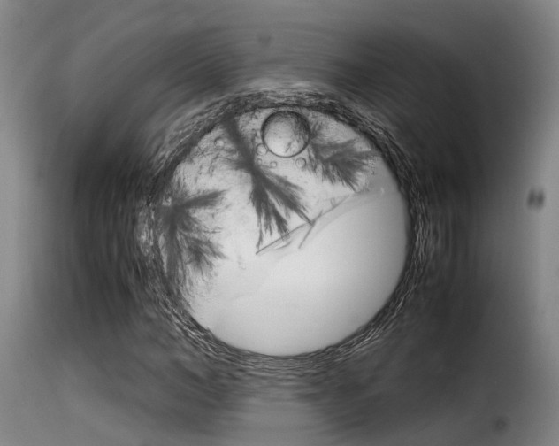 X0000116060966200911201157