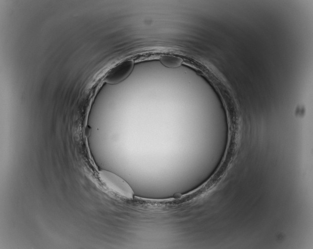 X0000116060969200911201157