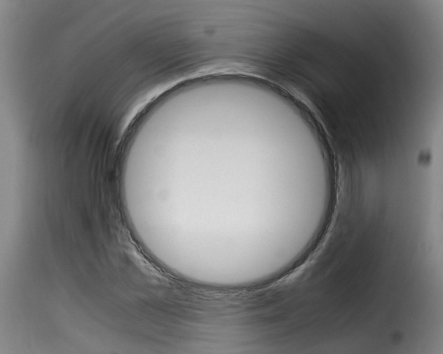 X0000116060973200911201157
