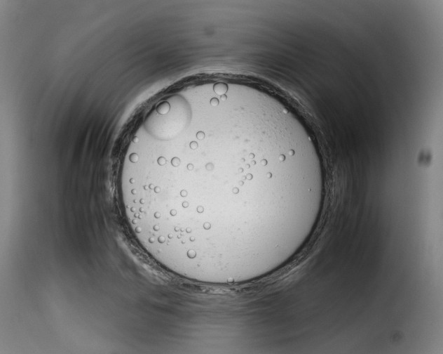 X0000116060974200911201157