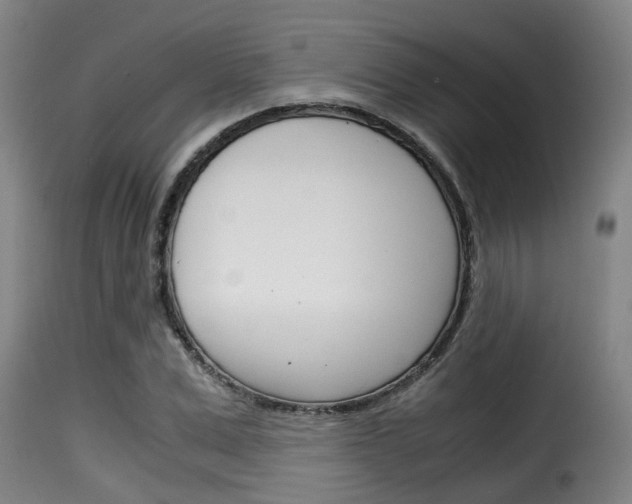 X0000116060975200911201157