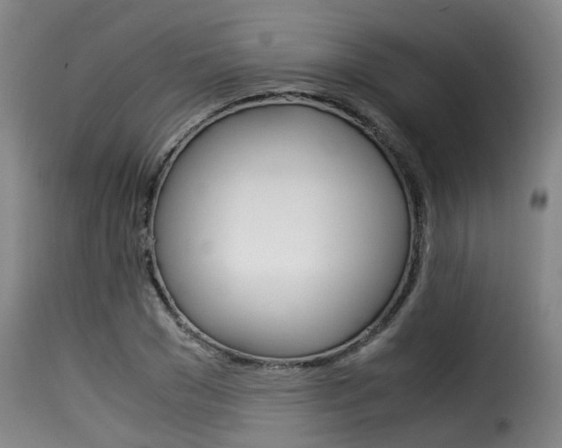 X0000116060977200911201156