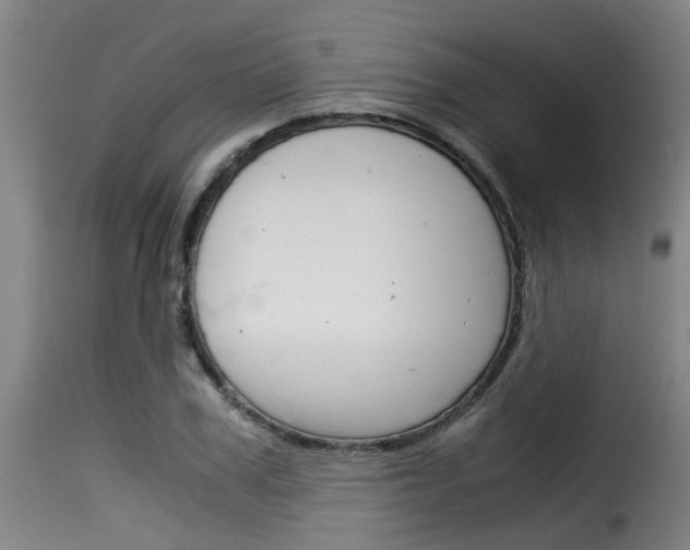 X0000116060979200911201156