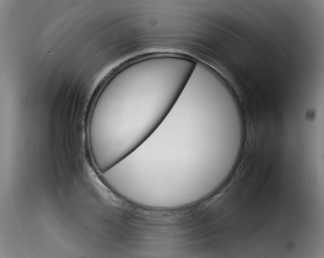 X0000116060980200911201156