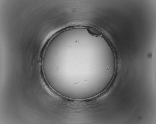 X0000116060981200911201156