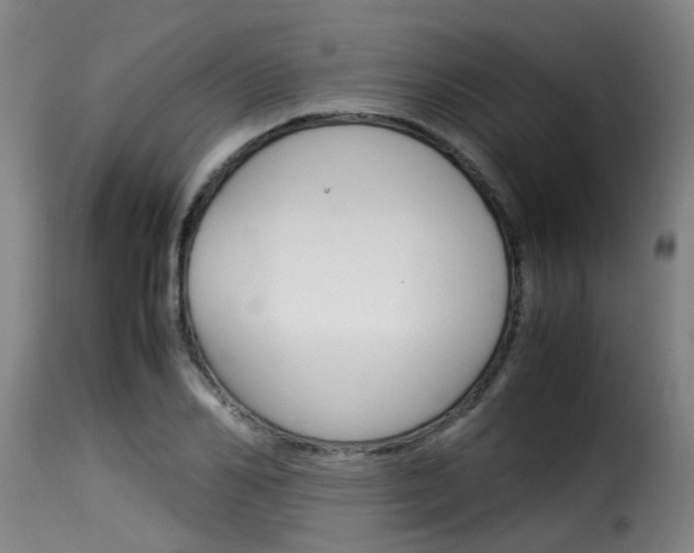 X0000116060982200911201156