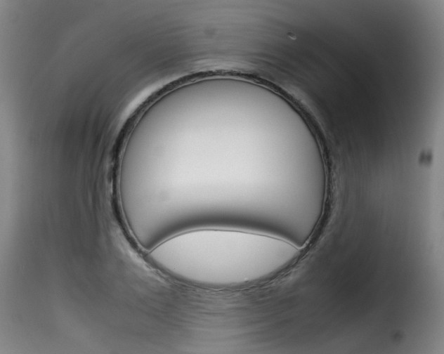 X0000116060983200911201156