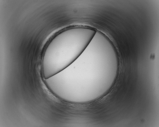 X0000116060984200911201156