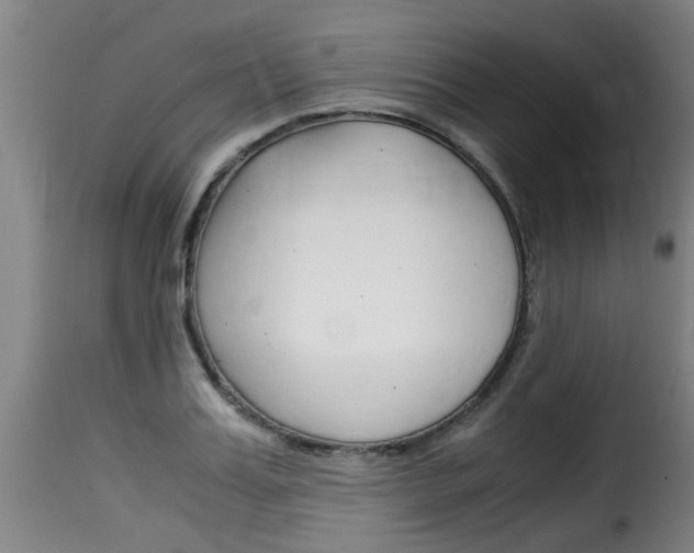 X0000116060987200911201156