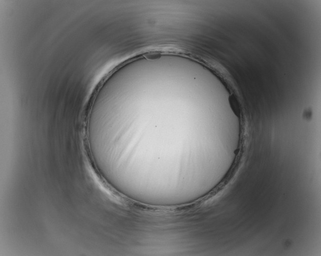 X0000116060989200911201156