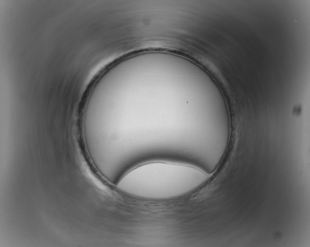 X0000116060991200911201156
