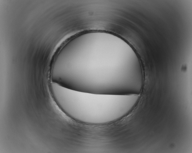 X0000116060992200911201156