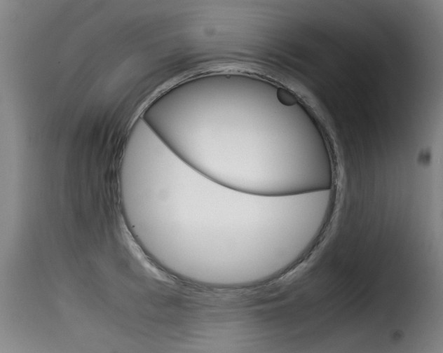 X0000116060993200911201156