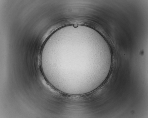 X0000116060994200911201156