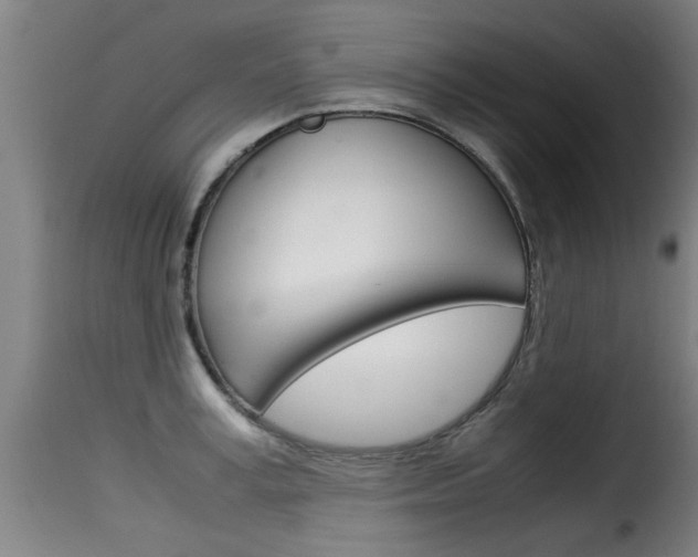X0000116060995200911201156