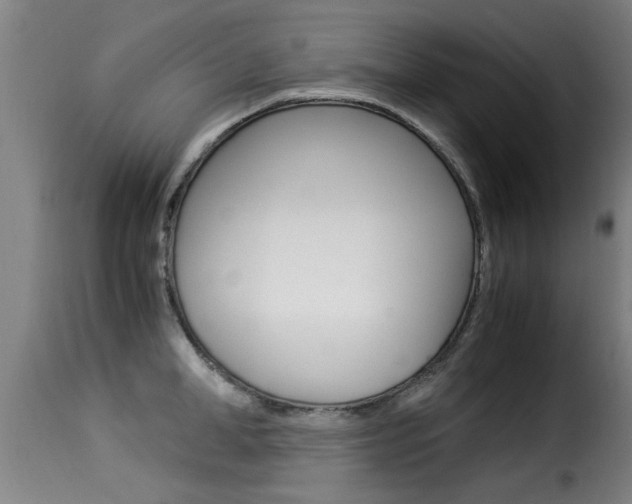 X0000116060998200911201156