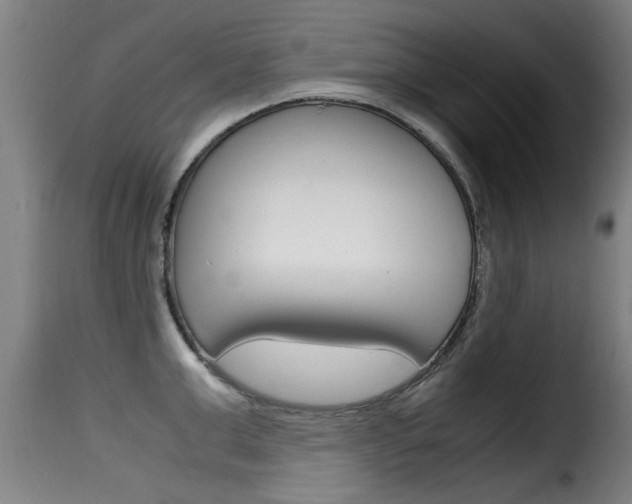 X0000116060999200911201156