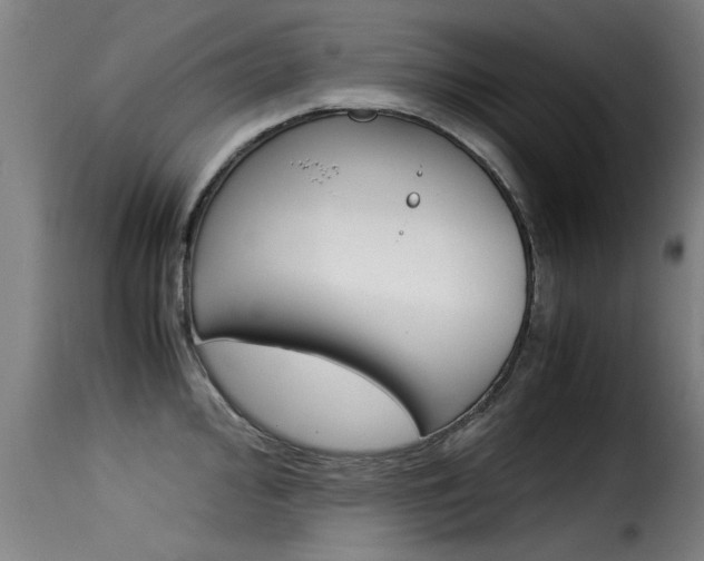 X0000116061000200911201156
