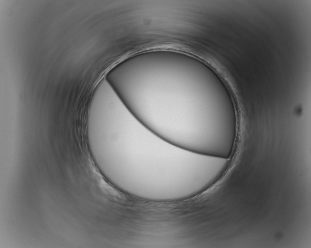 X0000116061001200911201156