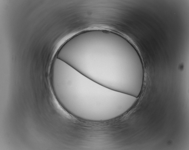 X0000116061003200911201156