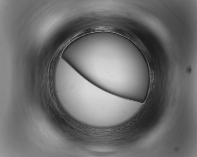 X0000116061005200911201156