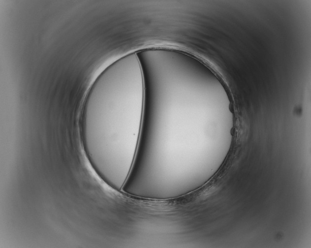 X0000116061007200911201156