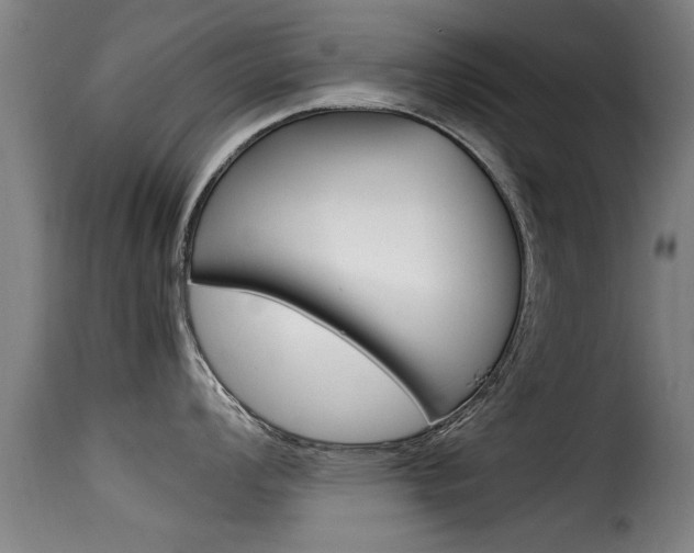 X0000116061008200911201156