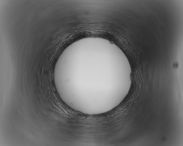 X0000116061009200911201155