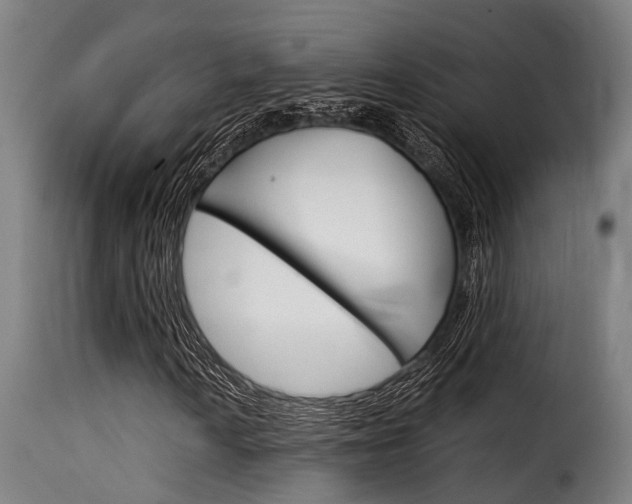 X0000116061010200911201155