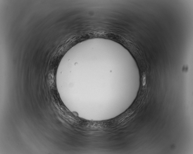 X0000116061011200911201155