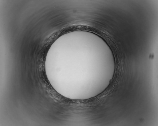 X0000116061014200911201155