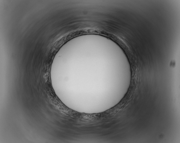 X0000116061015200911201155