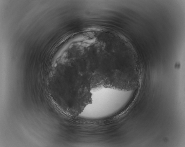 X0000116061017200911201156