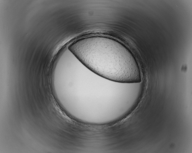 X0000116061018200911201156