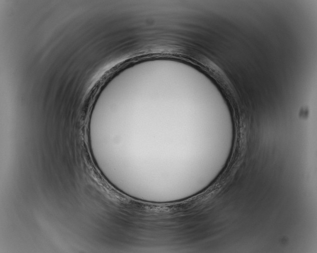 X0000116061019200911201156