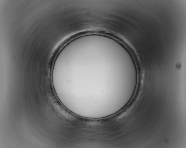 X0000116061021200911201156