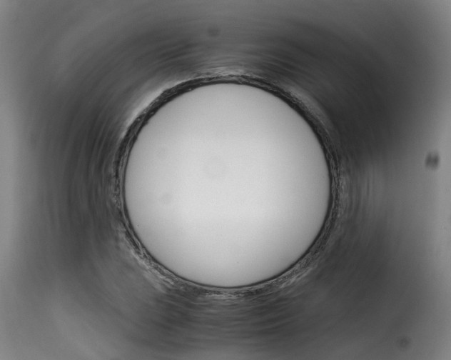 X0000116061023200911201156