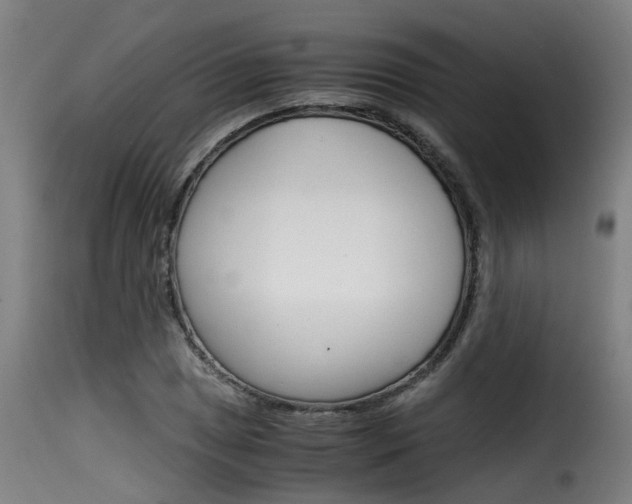 X0000116061025200911201156