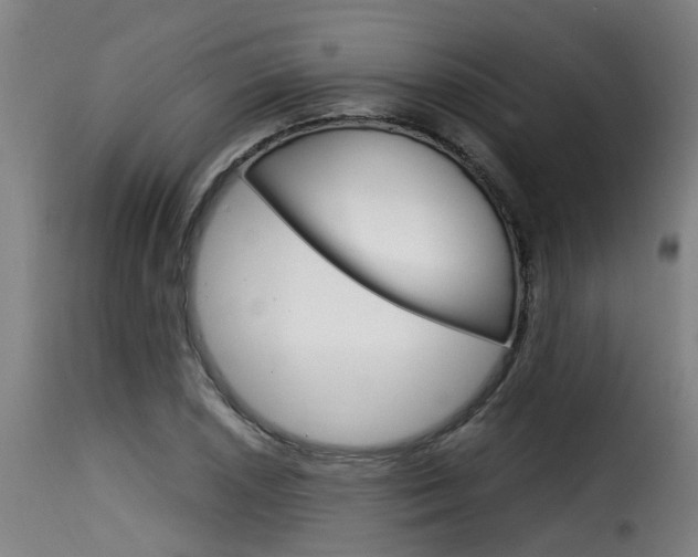 X0000116061026200911201156