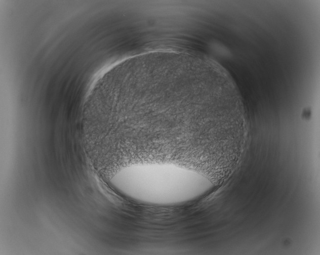 X0000116061027200911201156